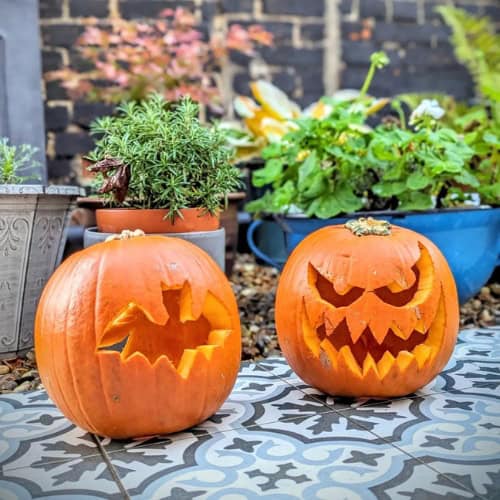 pumpkin carving ideas